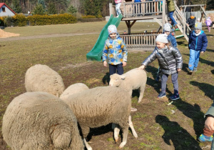 Dzieci podczas zabawy na placu zabaw głaszczą owce