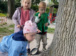 Żabki uczą się o życiu na łące