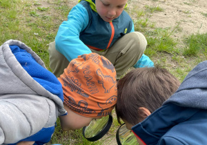 Dzieci prowadzą obserwacje w ogrodzie za pomocą lupy