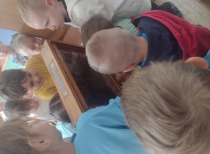 Warsztaty pszczelarskie w grupie Biedronek