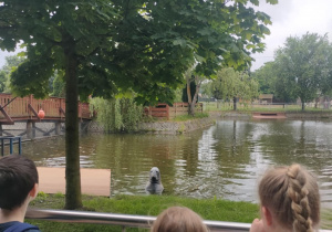 Dzieci oglądają fokę