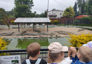 Dzieci patrzą na krokodyle