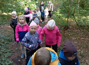 Grupa Biedronek na spacerze w parku