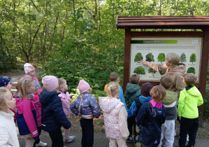 Dzieci stoją przy tablicy dydaktycznej o drzewach