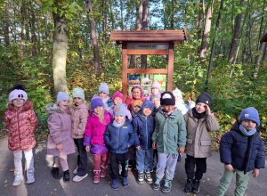 Żabki na spacerze w parku