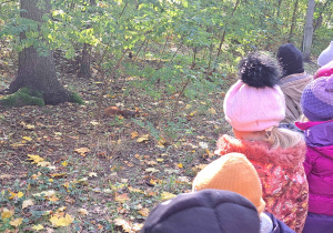 Dzieci patrzą na wiewiórkę