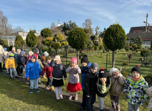 Pszczółki zwiedzają ogródki działkowe