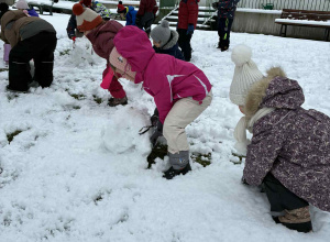 Zimowe harce w Pszczółkach