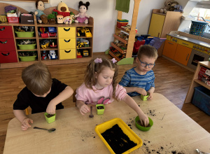 Pszczółki zamieniły się w ogrodników