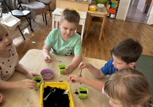 Dzieci sieją owies do doniczek