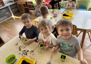 Dzieci sieją owies do doniczek