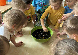 Dzieci sadzą cebulki