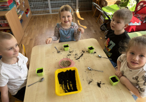 Dzieci sieją owies do doniczek