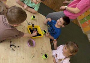 Dzieci sieją owies do doniczek