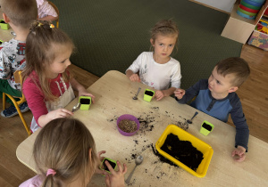 Dzieci sieją owies do doniczek