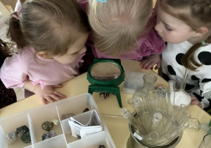 Dzieci podczas oglądania kącika naukowca