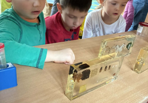 Dzieci podczas oglądania kącika naukowca