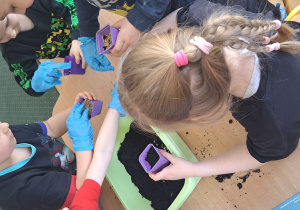 Dzieci podczas siania owsa