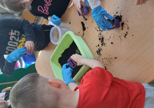 Dzieci podczas siania owsa