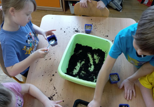 Dzieci podczas siania owsa