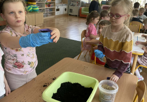 Dzieci podczas siania owsa