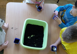 Dzieci podczas siania owsa