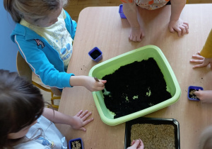 Dzieci podczas siania owsa