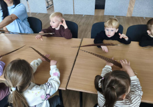 Dzieci oglądają sokole pióra