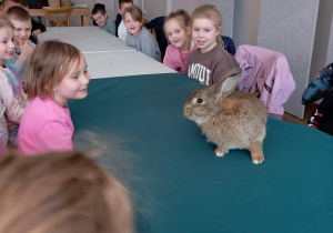 Dzieci podczas opowieści o króliku