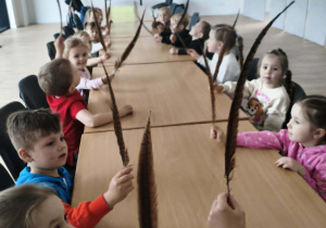Dzieci podczas oglądania piór sokolich