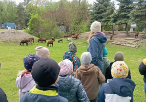 Dzieci podczas spaceru u owiec kameruńskich