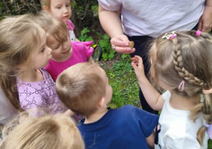 Dzieci oglądają nasionki