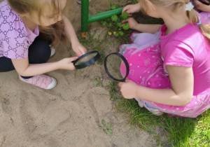 Dzieci oglądają przez lupy piasek