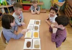 Dzieci oglądają różne mąki i ziarna