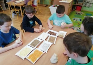 Dzieci z grupy IV wykonują pieczywo z masy solnej i dodają do niego wybrane ziarna