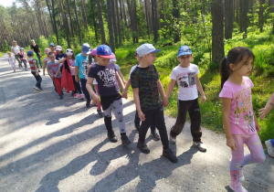 Dzieci z grupy IV spacerują po lesie w parach
