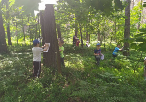 Dzieci z grupy IV odrysowują strukturę kory drzew na kartkach