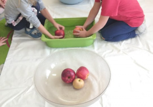 Dwoje dzieci myje jabłka w misce
