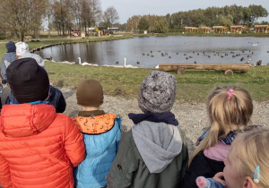Dzieci przyglądają się łabędziom i kaczkom pływającym po stawie