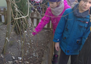 Dzieci pokazują pąki na drzewach
