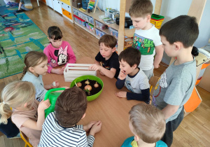 Przedszkolaki z grupy piątej podlewają po kolei swoje zasadzone cebule