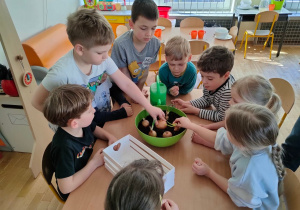 Przedszkolaki z grupy piątej sadzą cebule do doniczki