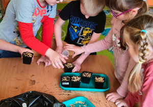Czworo dzieci sieje nasiona do swoich doniczek