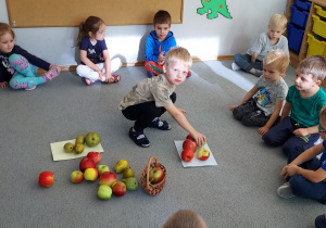 Dzieci segregują owoce na jabłka i gruszki