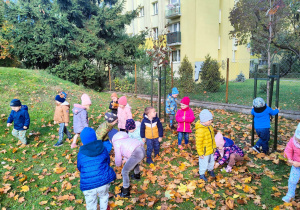 Dzieci z grupy pierwszej zbierają liście