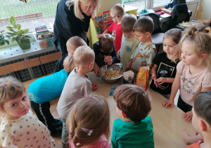 Dzieci z grupy drugiej ugniatają banany do ciasta