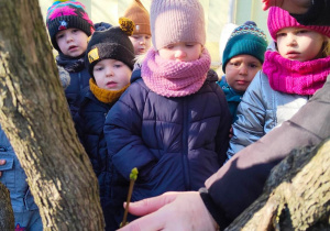 Nauczycielka pokazuje dzieciom pierwszy pąk na drzewie