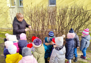 Nauczycielka pokazuje pąki na krzewie