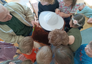Dzieci oglądają plaster, na którym powstaje miód