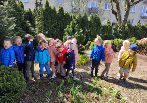 Przedszkolaki oglądają rośliny w ogrodzie